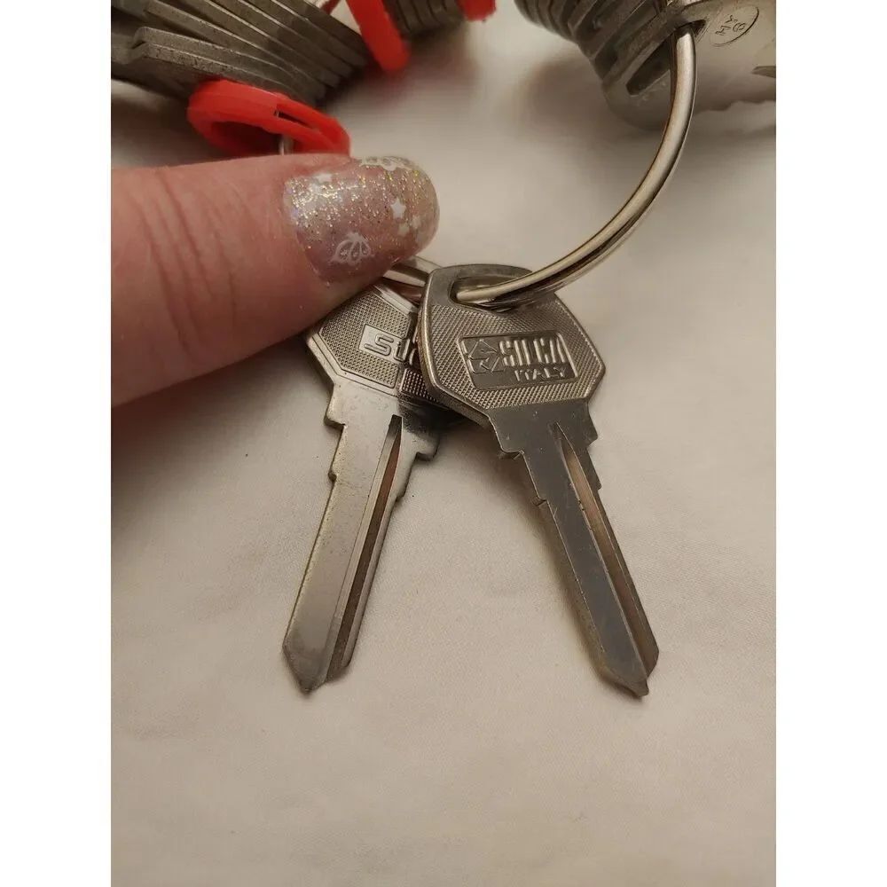 Set Of 2 Harley Davidson Silca Blank HY6 Keys